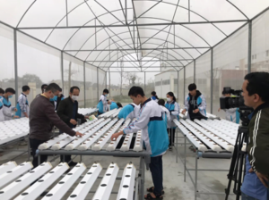 Technology Transfer Activities HACEN
