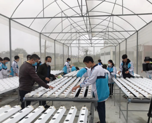 Technology Transfer Activities on greenhouse crop production at Thai Nguyen High School for Gifted Students